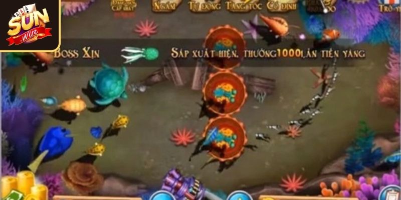 Tìm hiểu cơ bản về bắn cá Hải Tặc SUNWIN
